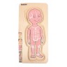 Puzzle éducatif 29 pièces en bois pour enfant - À la découverte du corps humain