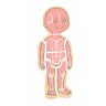 Puzzle éducatif 29 pièces en bois pour enfant - À la découverte du corps humain