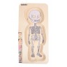 Puzzle éducatif 29 pièces en bois pour enfant - À la découverte du corps humain