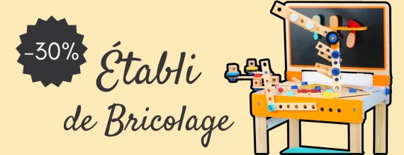 Etabli de bricolage avec table de dessin
